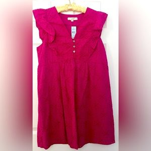 LOFT NWT Fuchsia Cotton Eyelet sundress size Petite Large